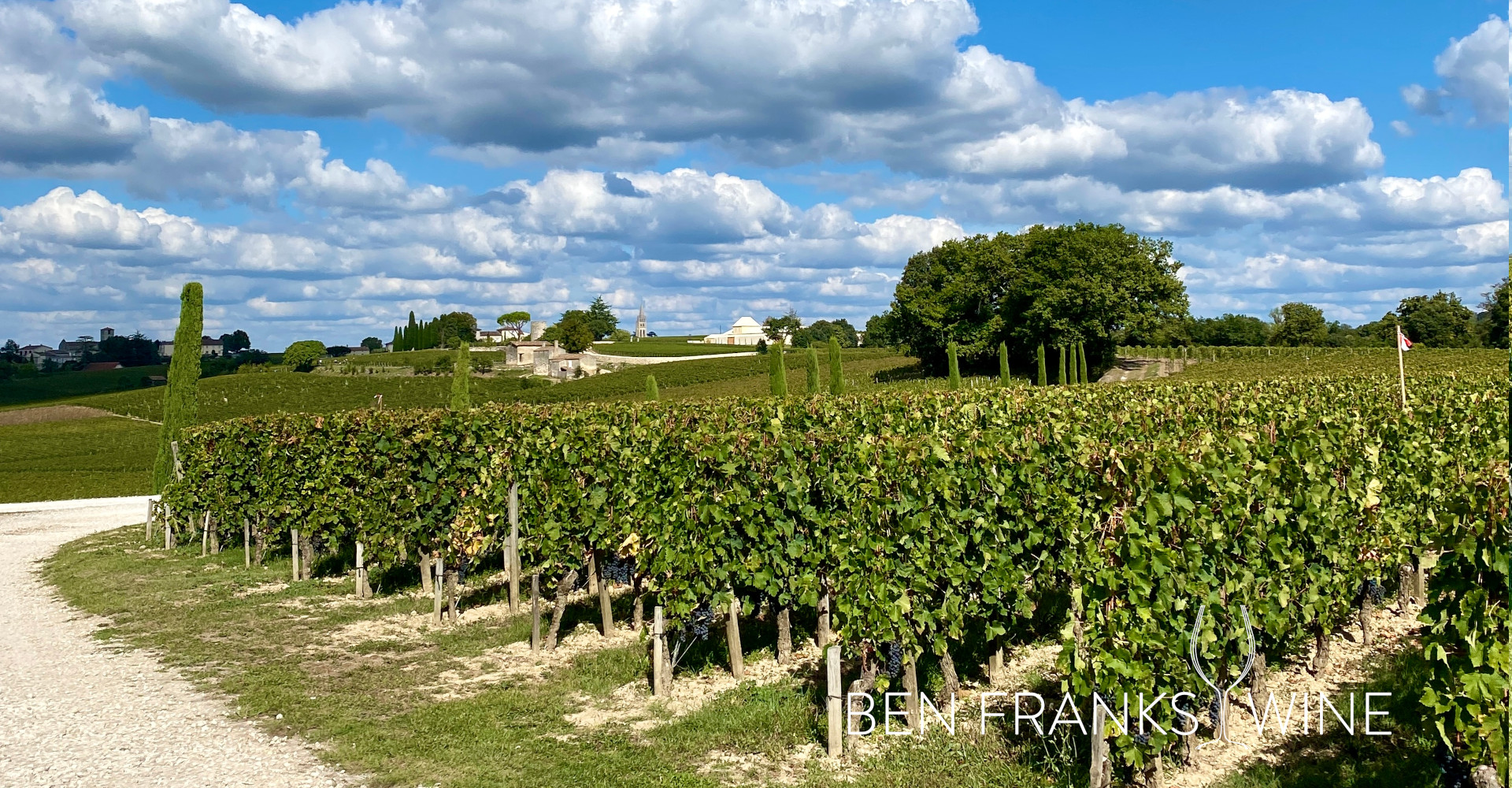 Sustainability - Vines at Chateau Quintas