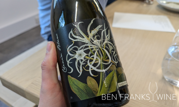 2017 Mary Delany Citrusdal Mountain Chenin Blanc, Botanica – Tasting Note