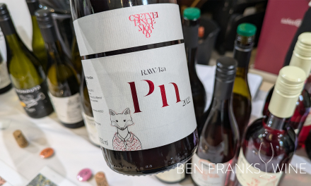 2022 RAW/KA Pinot Noir, Csetvei Pince – Tasting Note